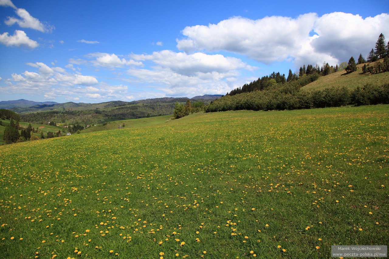 Pieniny - Biala Woda